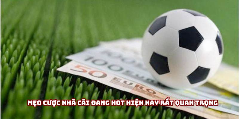 Mẹo cược nhà cái đang hot hiện nay rất quan trọng
